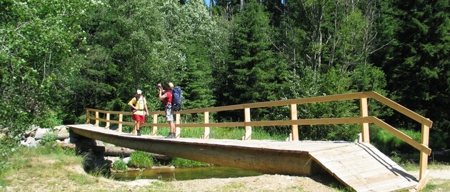 Trail with bridge